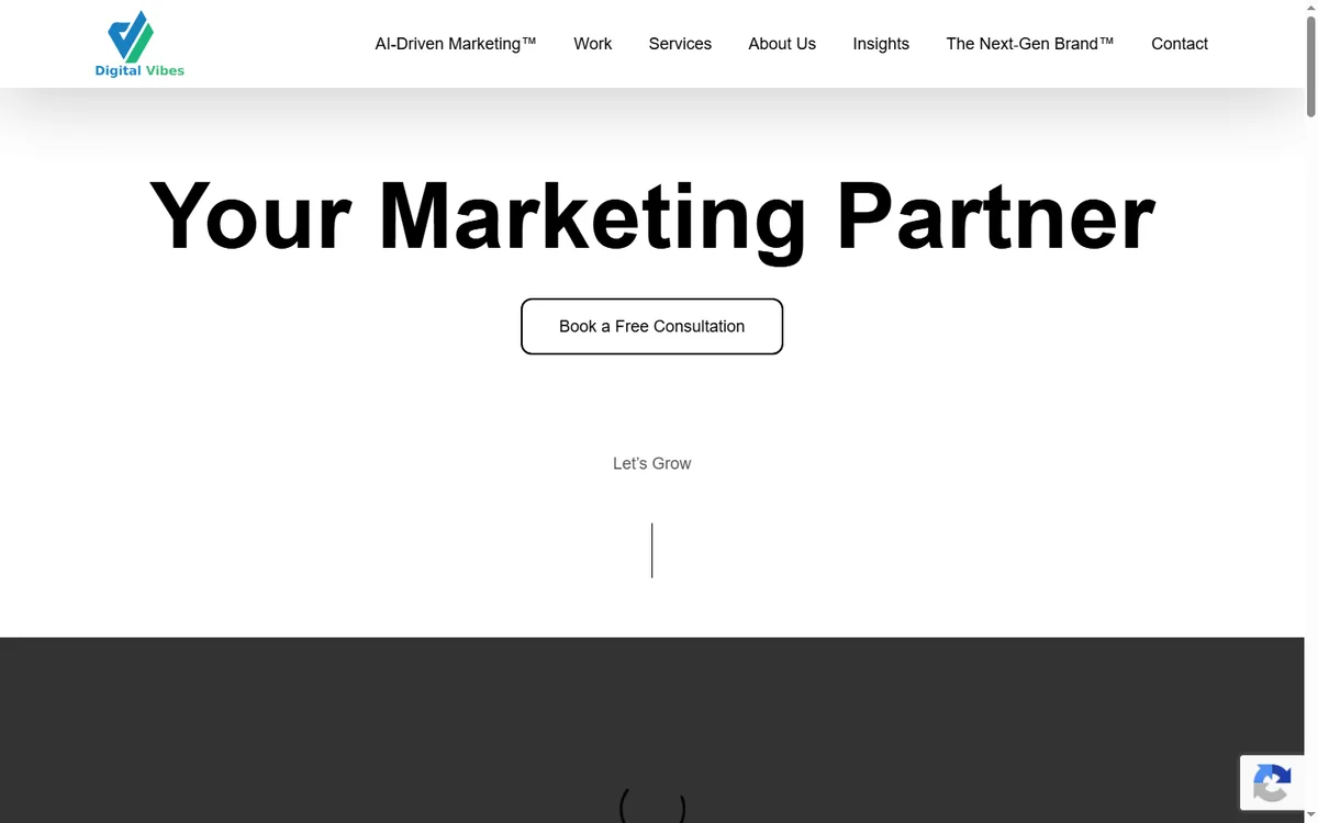 Digital Vibez — Business Websites build by Softaculor